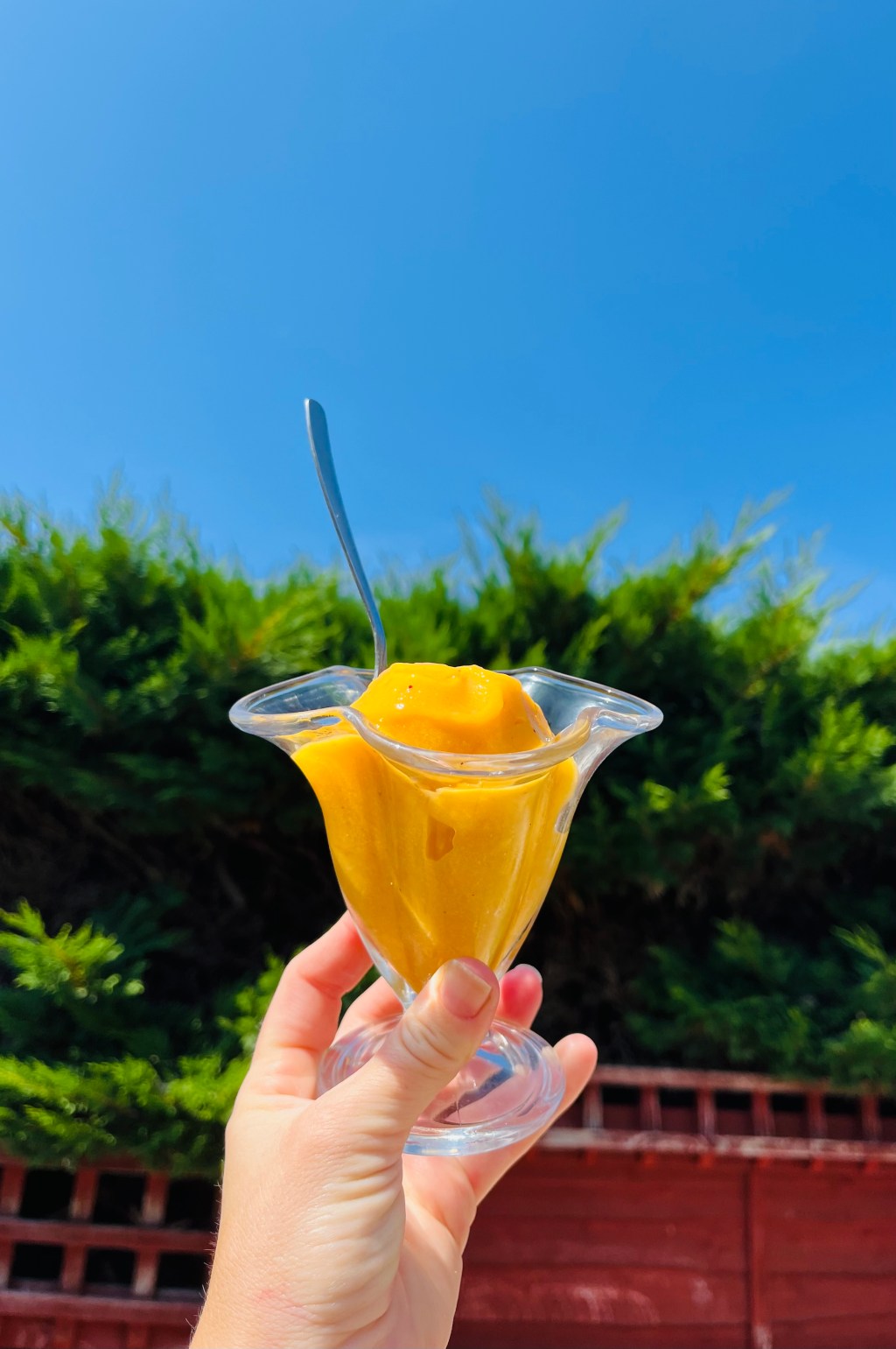 Tilly T’s Super Simple Mango&nbsp;Sorbet