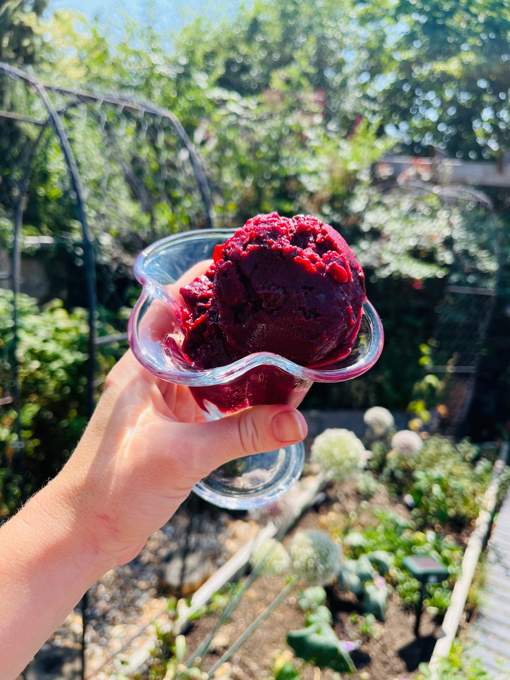 Tilly T’s Dairy free Black Forest Choc Chip&nbsp;Ice-cream