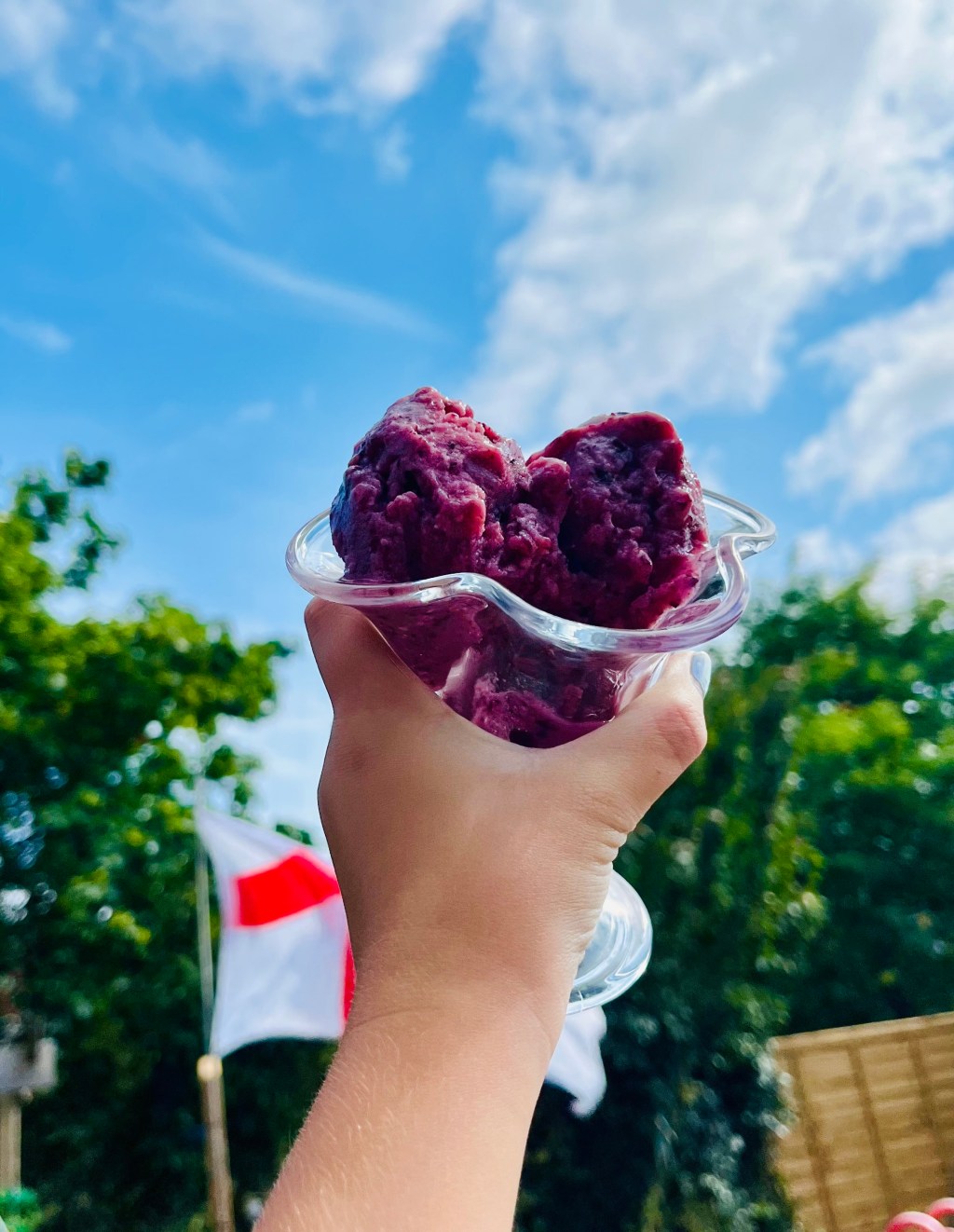 Glorious Grape Ice-cream