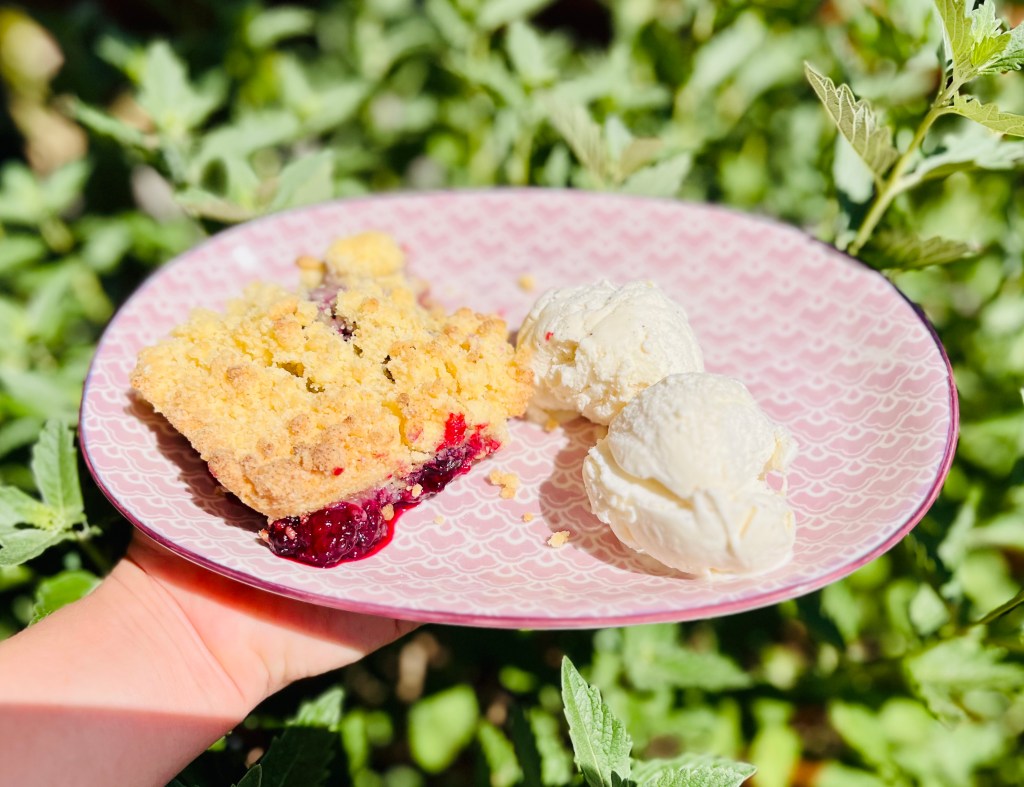 Tilly T’s World’s Best Blackberry&nbsp;crumble